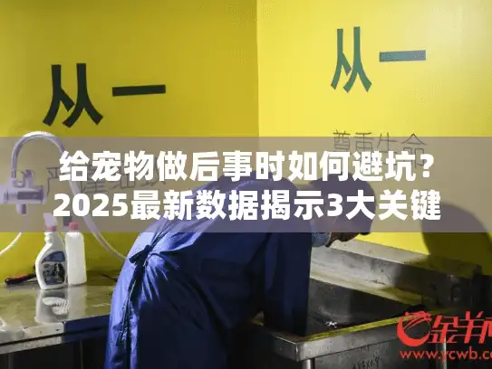 给宠物做后事时如何避坑？2025最新数据揭示3大关键选择策略！