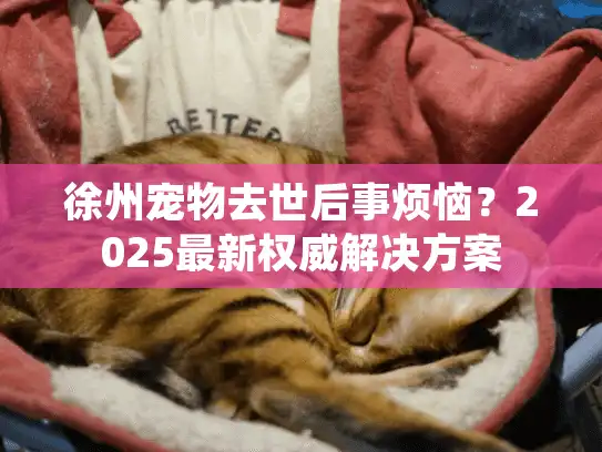 徐州宠物去世后事烦恼？2025最新权威解决方案