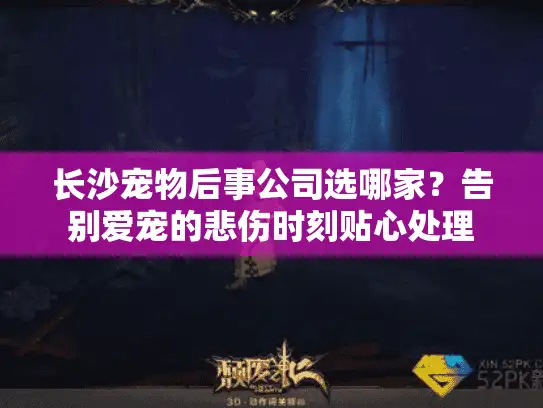 长沙宠物后事公司选哪家？告别爱宠的悲伤时刻贴心处理