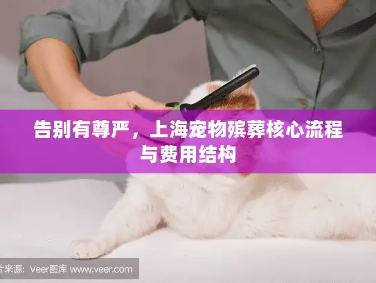 告别有尊严，上海宠物殡葬核心流程与费用结构