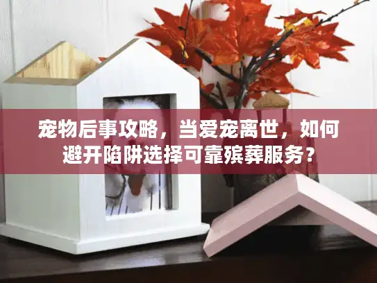 宠物后事攻略，当爱宠离世，如何避开陷阱选择可靠殡葬服务？