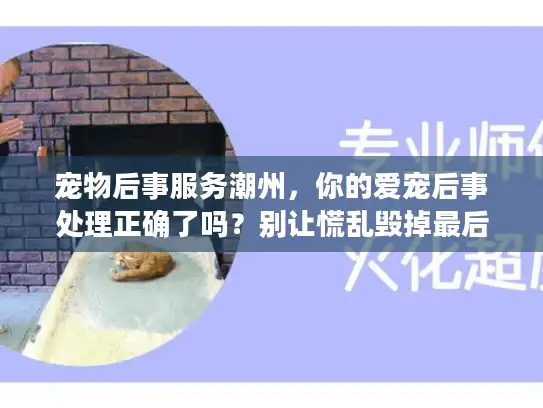 宠物后事服务潮州，你的爱宠后事处理正确了吗？别让慌乱毁掉最后告别