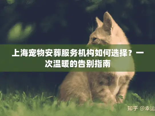 上海宠物安葬服务机构如何选择？一次温暖的告别指南
