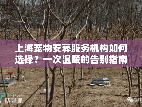上海宠物安葬服务机构如何选择？一次温暖的告别指南