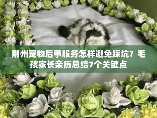 荆州宠物后事服务怎样避免踩坑？毛孩家长亲历总结7个关键点