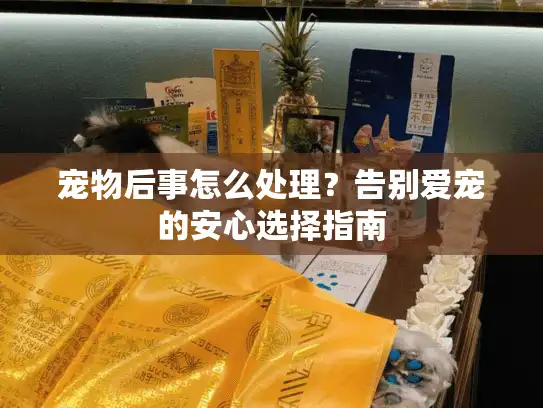 宠物后事怎么处理？告别爱宠的安心选择指南