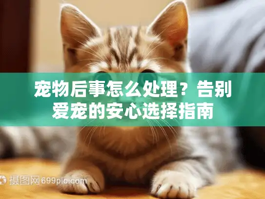 宠物后事怎么处理？告别爱宠的安心选择指南