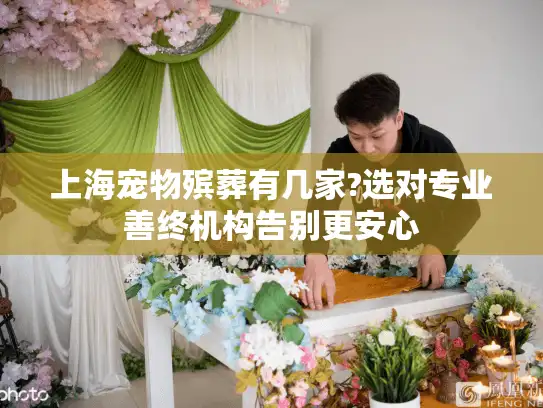 上海宠物殡葬有几家?选对专业善终机构告别更安心