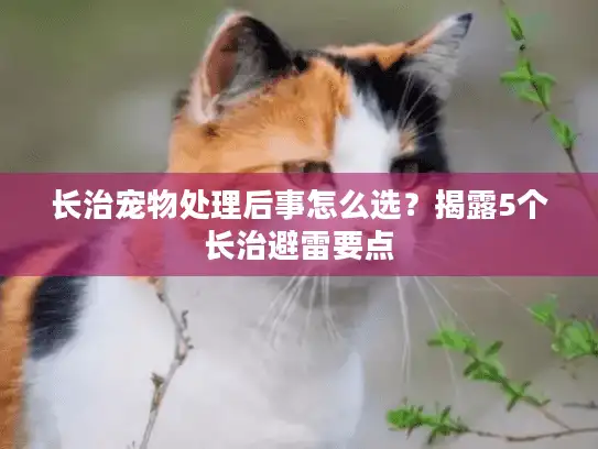 长治宠物处理后事怎么选？揭露5个长治避雷要点