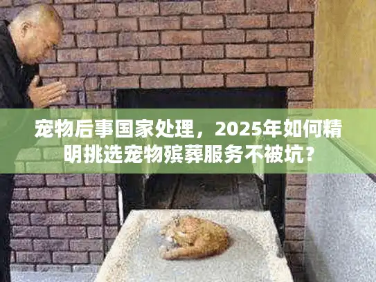 宠物后事国家处理，2025年如何精明挑选宠物殡葬服务不被坑？