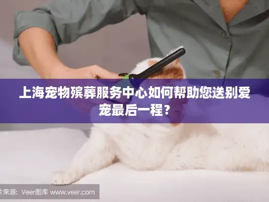 上海宠物殡葬服务中心如何帮助您送别爱宠最后一程？