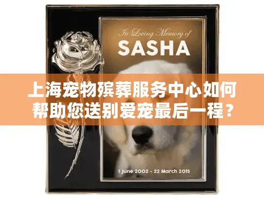 上海宠物殡葬服务中心如何帮助您送别爱宠最后一程？