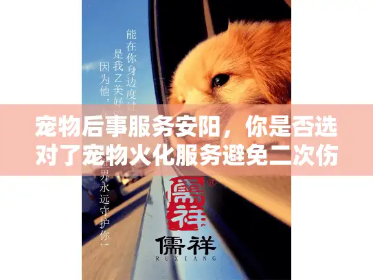 宠物后事服务安阳，你是否选对了宠物火化服务避免二次伤害？