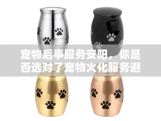 宠物后事服务安阳，你是否选对了宠物火化服务避免二次伤害？