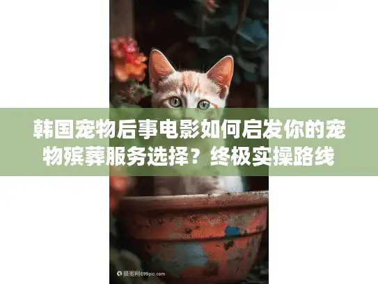 韩国宠物后事电影如何启发你的宠物殡葬服务选择？终极实操路线