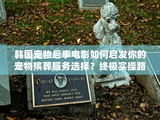韩国宠物后事电影如何启发你的宠物殡葬服务选择？终极实操路线
