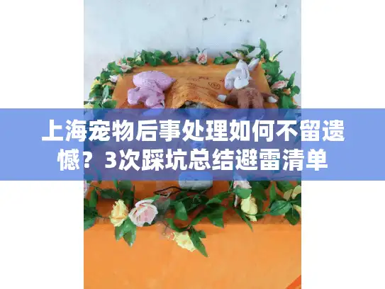 上海宠物后事处理如何不留遗憾？3次踩坑总结避雷清单