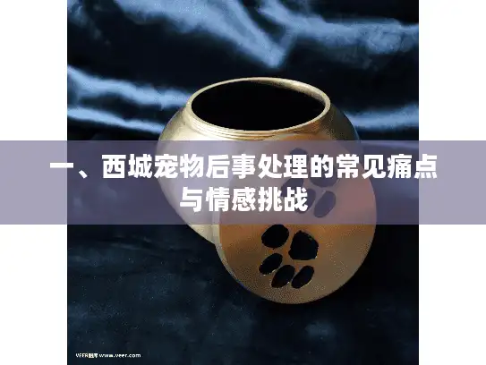 一、西城宠物后事处理的常见痛点与情感挑战