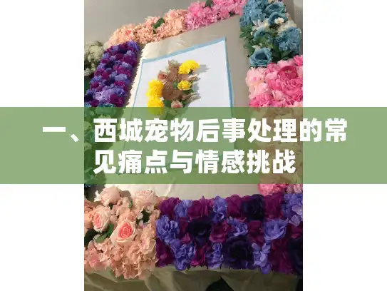 一、西城宠物后事处理的常见痛点与情感挑战