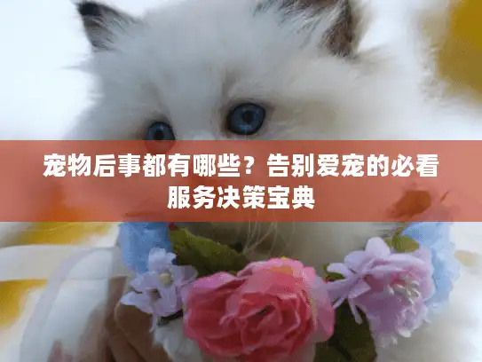 宠物后事都有哪些？告别爱宠的必看服务决策宝典