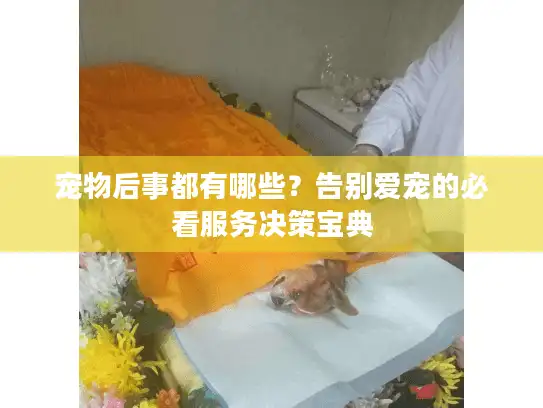 宠物后事都有哪些？告别爱宠的必看服务决策宝典