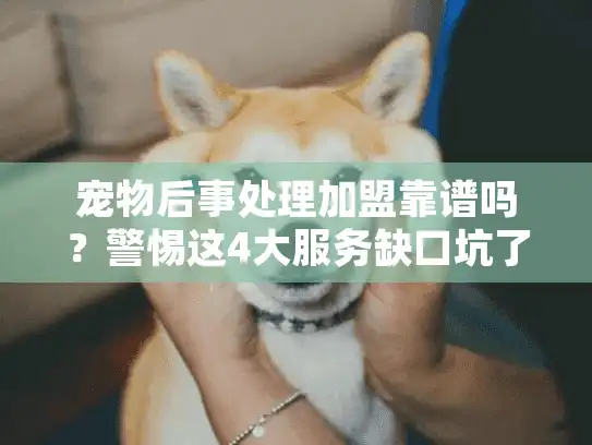 宠物后事处理加盟靠谱吗？警惕这4大服务缺口坑了爱宠最后一程！