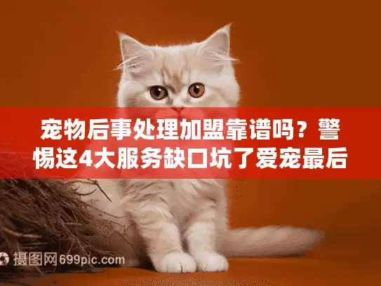 宠物后事处理加盟靠谱吗？警惕这4大服务缺口坑了爱宠最后一程！