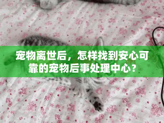 宠物离世后，怎样找到安心可靠的宠物后事处理中心？
