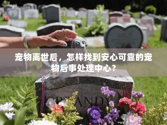 宠物离世后，怎样找到安心可靠的宠物后事处理中心？