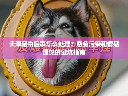 天津宠物后事怎么处理？避免污染和情感遗憾的避坑指南