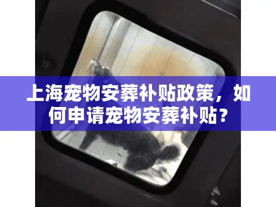 上海宠物安葬补贴政策，如何申请宠物安葬补贴？