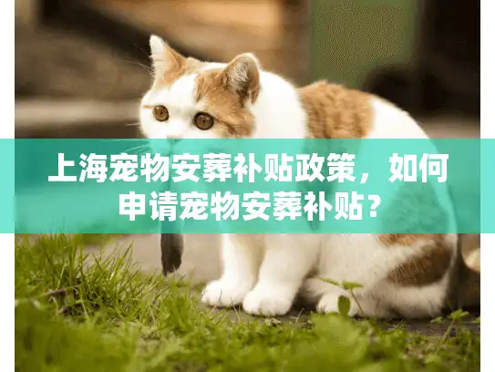上海宠物安葬补贴政策，如何申请宠物安葬补贴？