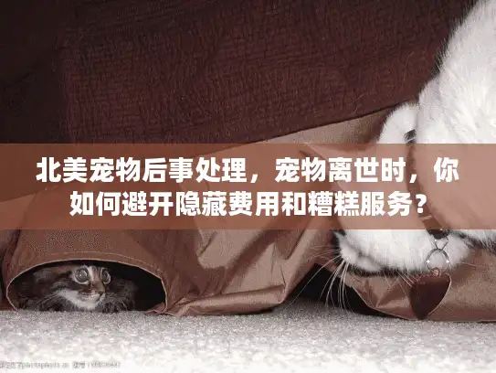 北美宠物后事处理，宠物离世时，你如何避开隐藏费用和糟糕服务？
