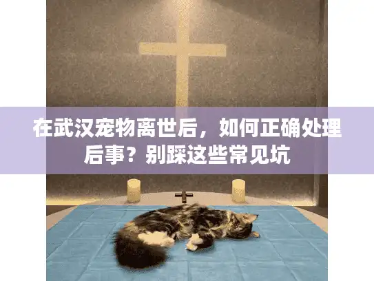 在武汉宠物离世后，如何正确处理后事？别踩这些常见坑