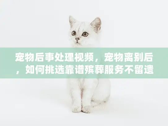 宠物后事处理视频，宠物离别后，如何挑选靠谱殡葬服务不留遗憾？