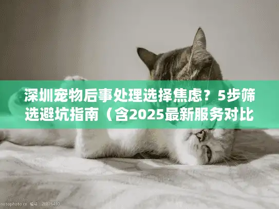深圳宠物后事处理选择焦虑？5步筛选避坑指南（含2025最新服务对比）