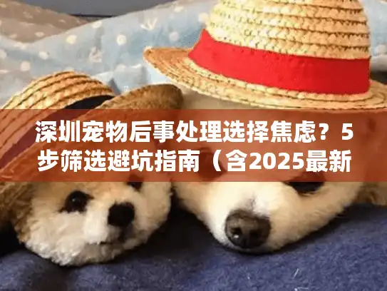 深圳宠物后事处理选择焦虑？5步筛选避坑指南（含2025最新服务对比）