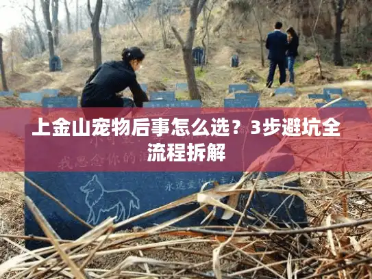 上金山宠物后事怎么选？3步避坑全流程拆解