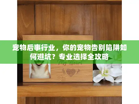 宠物后事行业，你的宠物告别陷阱如何避坑？专业选择全攻略