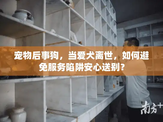 宠物后事狗，当爱犬离世，如何避免服务陷阱安心送别？