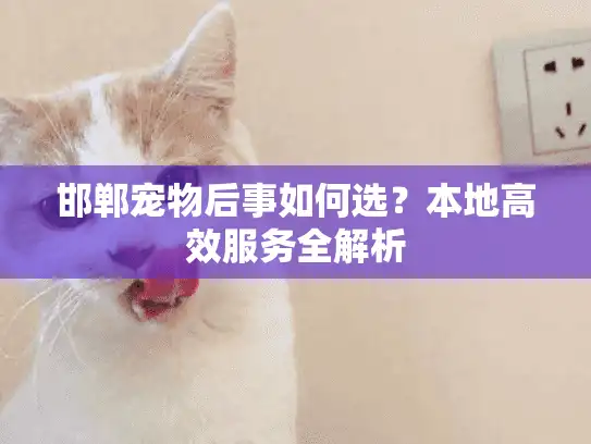 邯郸宠物后事如何选？本地高效服务全解析
