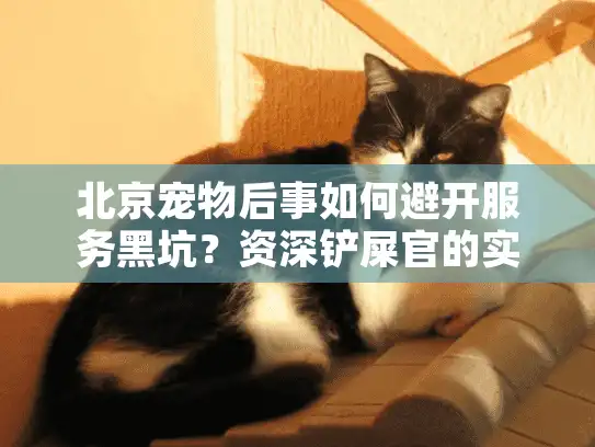 北京宠物后事如何避开服务黑坑？资深铲屎官的实战避雷术