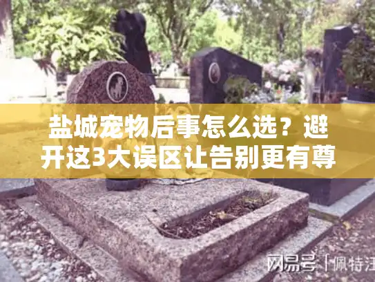盐城宠物后事怎么选？避开这3大误区让告别更有尊严