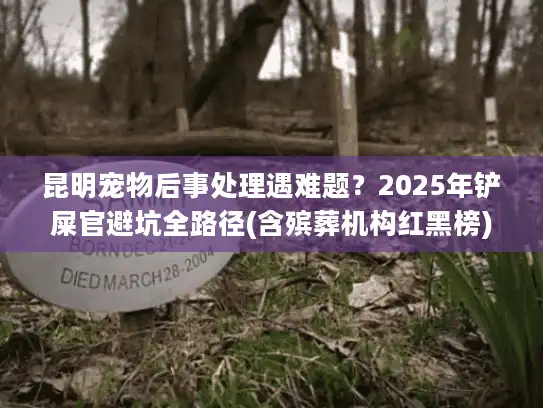 昆明宠物后事处理遇难题？2025年铲屎官避坑全路径(含殡葬机构红黑榜)