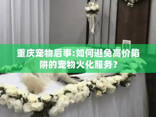 重庆宠物后事:如何避免高价陷阱的宠物火化服务？