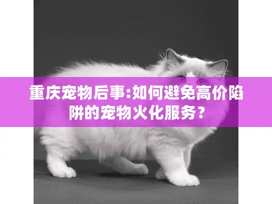 重庆宠物后事:如何避免高价陷阱的宠物火化服务？