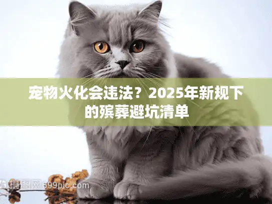 宠物火化会违法？2025年新规下的殡葬避坑清单