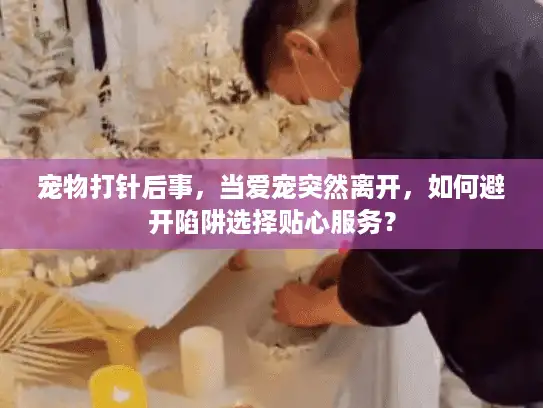 宠物打针后事，当爱宠突然离开，如何避开陷阱选择贴心服务？