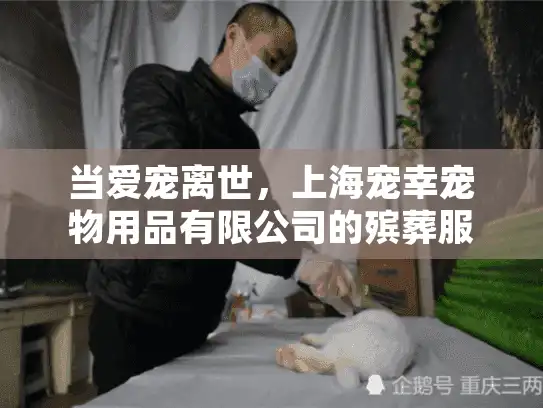 当爱宠离世，上海宠幸宠物用品有限公司的殡葬服务是否值得托付？
