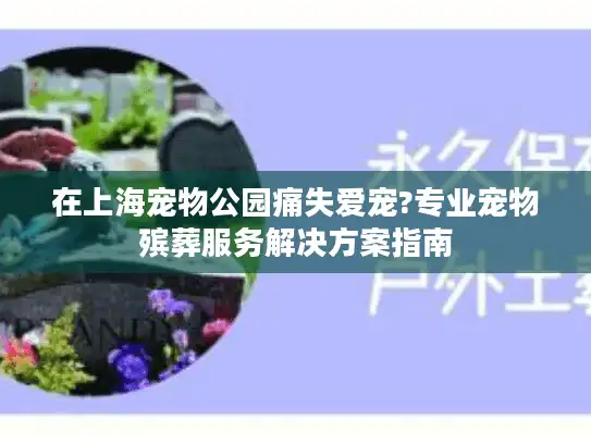 在上海宠物公园痛失爱宠?专业宠物殡葬服务解决方案指南